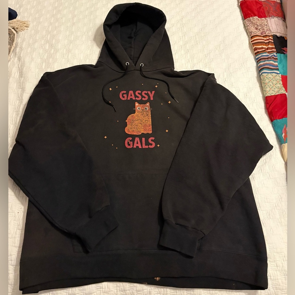 Hanes Ultra Cotton Black Hoodie with Gassy Gals Cat Graphic